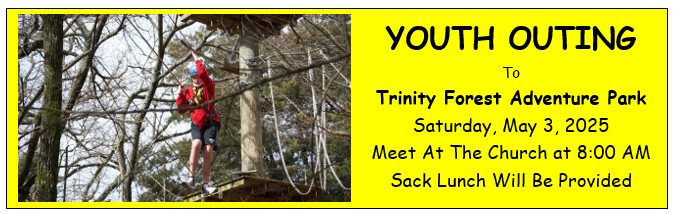 Trinity Forest Adventure Park
